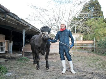祖父との思い出を胸に叶えた畜産農家の夢 前編 かごしま暮らし 移住で広がる 人生の選択肢 Mbc 南日本放送 祖父との思い出を胸に叶えた畜産農家の夢 前編 かごしま暮らし 移住で広がる 人生の選択肢 Mbc 南日本放送
